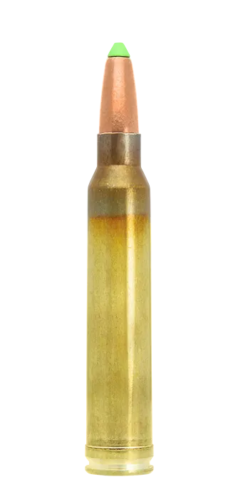 Lapua Naturalis 300 Win Mag 170 gr munizioni caccia senza piombo