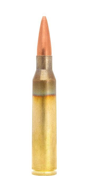 Lapua Scenar .338 Lapua Mag munizioni 300 gr OTM