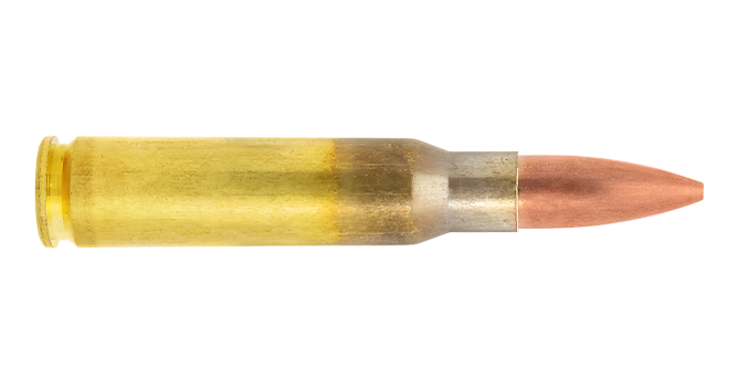 Lapua Scenar .308 Win 185 gr munizioni match