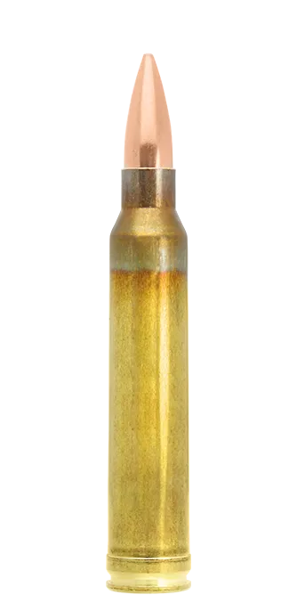 Lapua Scenar .300 Win Mag 185 gr cartucce lunga distanza