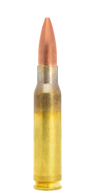 Lapua Scenar .308 Win 185 gr munizioni match