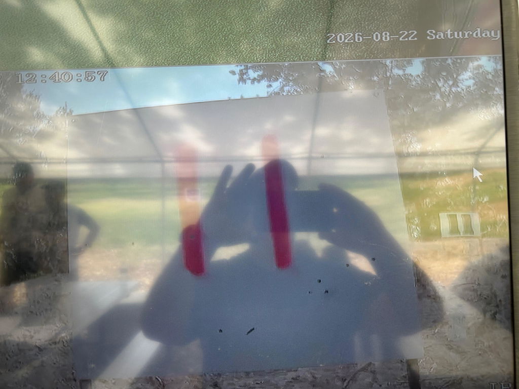Cutting Edge Lazer 425gr Single Feed palle .408 50 pezzi