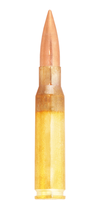 Lapua Lock Base munizioni 308 Win 170 gr semi-auto