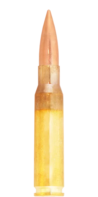 Lapua Lock Base .308 Win 170 gr munizioni tattiche FMJBT