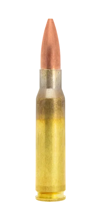 Lapua Scenar .308 Win 185 gr munizioni match