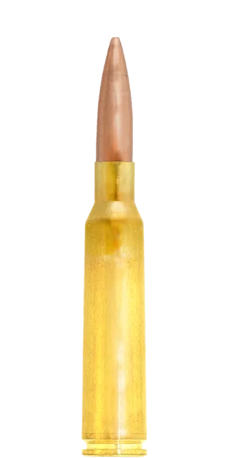 Lapua Scenar-L 6,5x55 SE 120 gr munizioni 920 m/s tiro