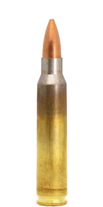 Lapua FMJ 223 Rem cartucce 55 gr tiro sportivo