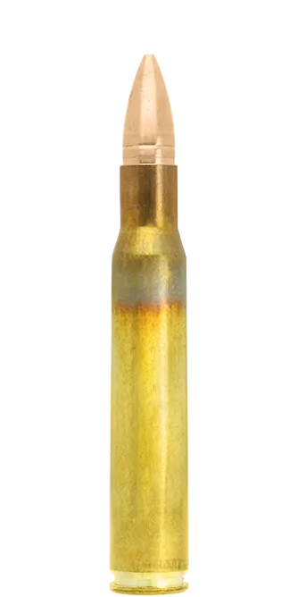 Lapua FMJ 30-06 Springfield cartucce 123 gr caccia