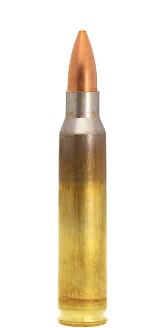 Lapua FMJ 223 Rem cartucce 55 gr tiro sportivo