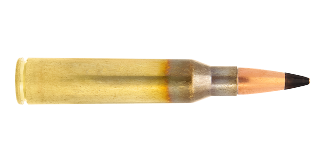 Lapua FMJ .338 Lapua Mag 300 gr munizioni AP529