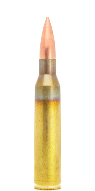 Lapua Lock Base .338 LM 250 gr munizioni FMJBT