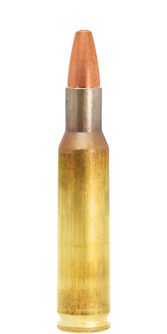 Lapua Naturalis .222 Rem 50 gr munizioni senza piombo