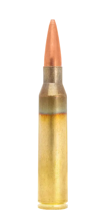 Lapua Scenar .338 Lapua Mag munizioni 300 gr OTM