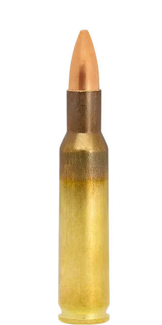 Lapua FMJ .222 Rem. cartucce 55 gr tiro caccia