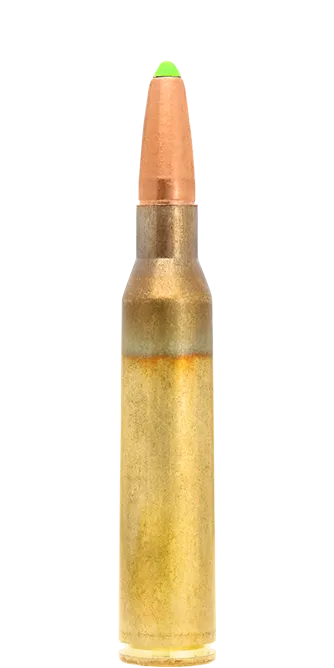 Lapua Naturalis 338 Lapua Mag cartucce 231 gr 15 g