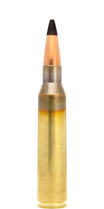 Lapua FMJ .338 Lapua Mag 300 gr munizioni AP529