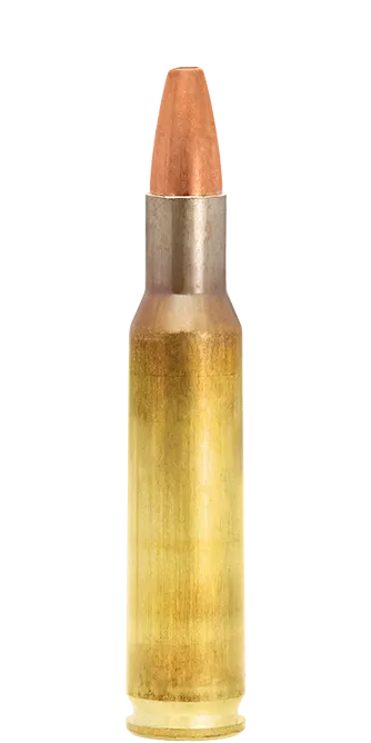 Lapua Naturalis .222 Rem 50 gr munizioni senza piombo