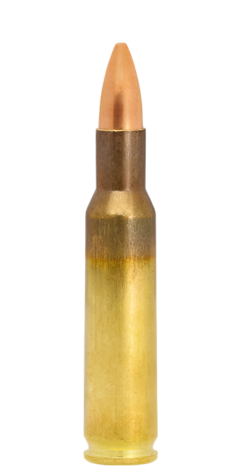 Lapua FMJ .222 Rem. cartucce 55 gr tiro caccia