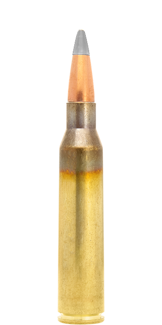 Lapua FMJ cartucce 338 Lapua Mag 253 gr 16,4 g API526