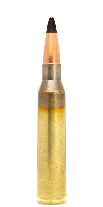 Lapua FMJ .308 Win cartucce 167 gr AP555
