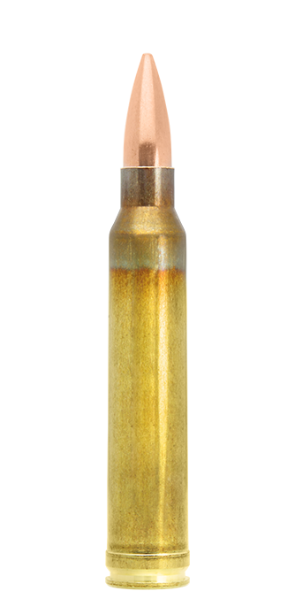 Lapua Scenar .300 Win Mag 185 gr cartucce lunga distanza