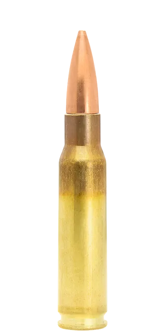 Lapua Scenar-L .308 Win 175 gr cartucce match