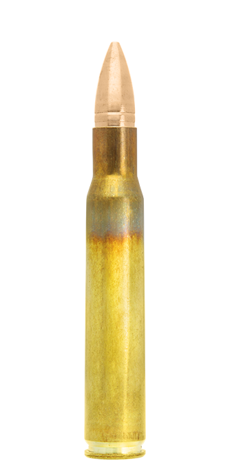Lapua FMJ 30-06 Springfield cartucce 123 gr caccia