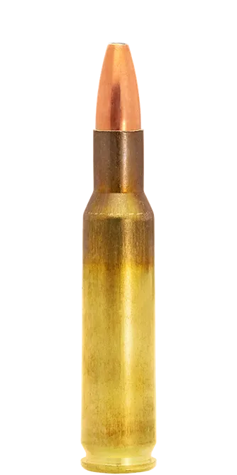 Lapua Soft Point cartucce .222 Rem 55 gr caccia