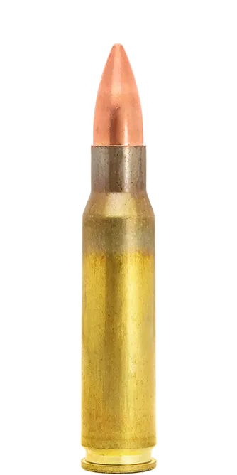 Lapua Subsonic .308 Win 200 gr munizioni FMJ subsoniche